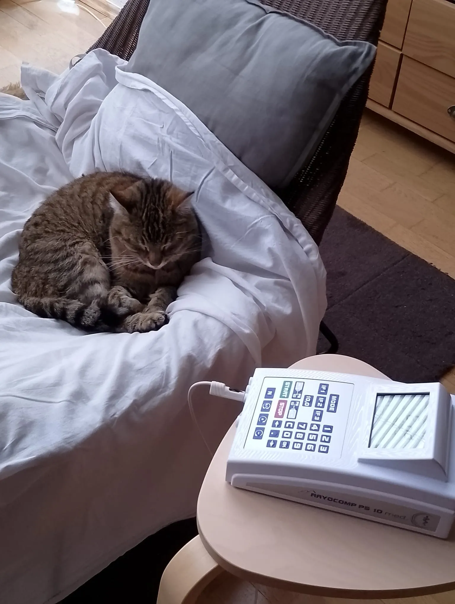 Unsere Leistungen – Fair, transparent und überschaubar