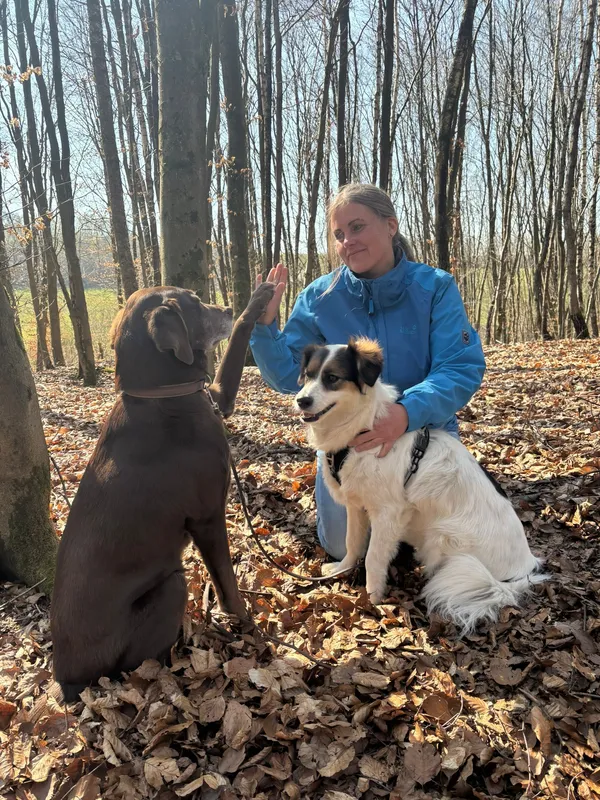 Tierernährungsberatung PLUS für Hunde, Katzen und Pferde Berater für Tierernährungsberatung Hunde, Katzen und Pferde