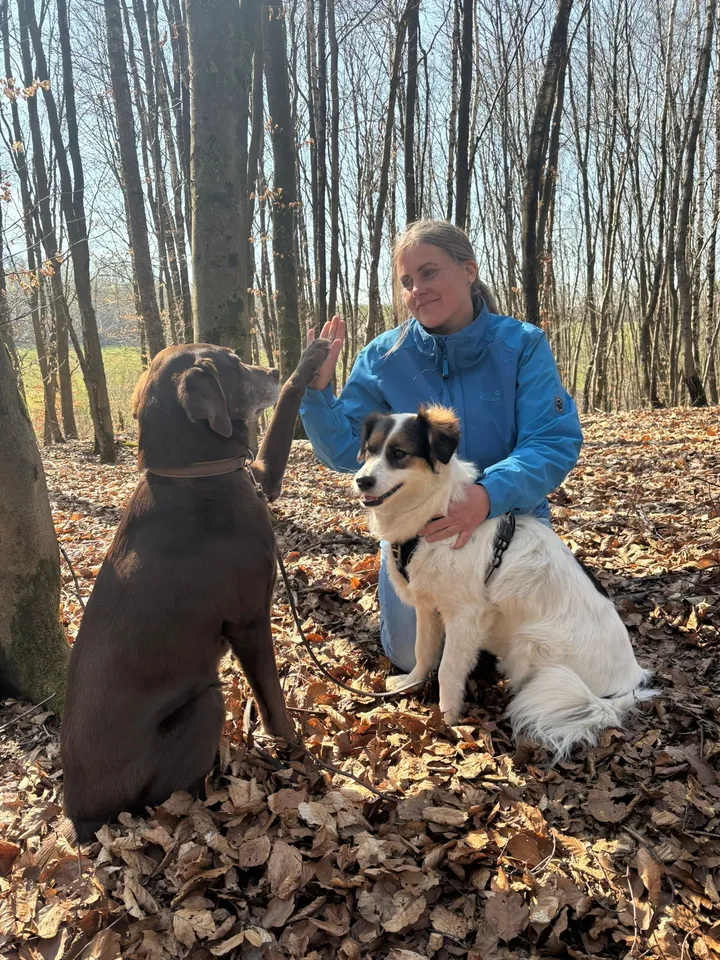 Tierschutzhund eingewöhnen mit Zeit Tierschutzhund eingewöhnen mit zwei Hunden